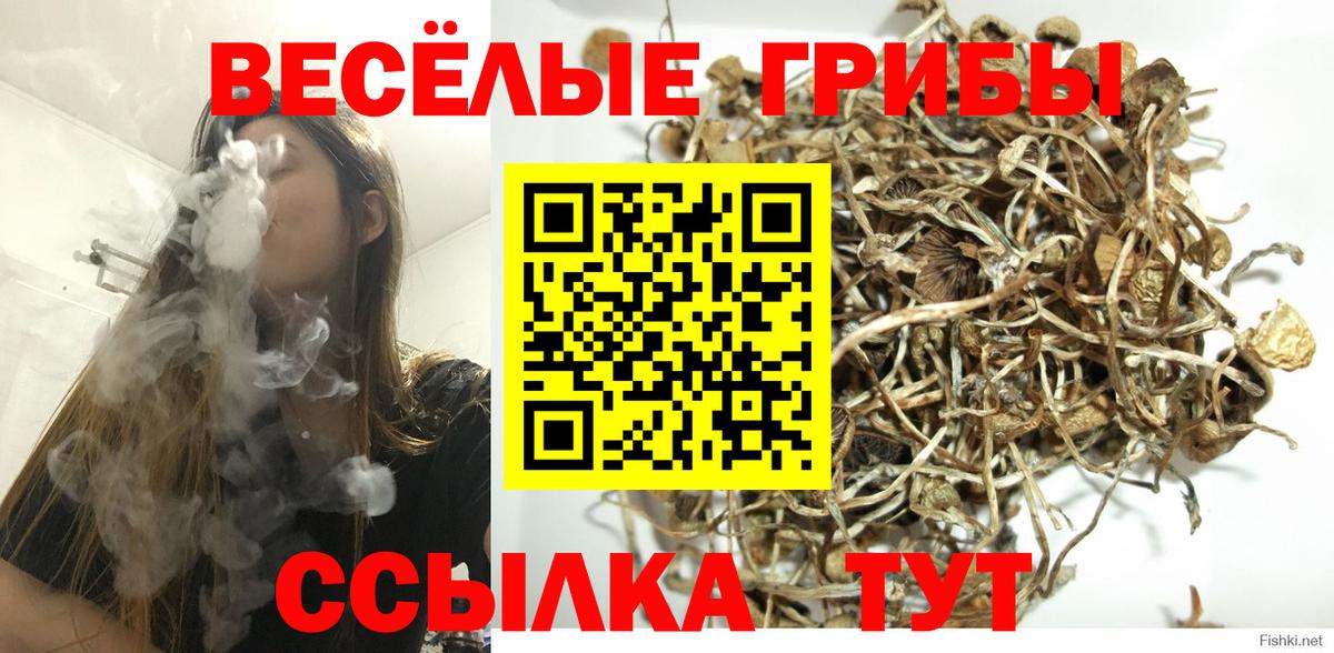 Галлюциногенные грибы мицелий  Вход с VPN  Красноармейск 